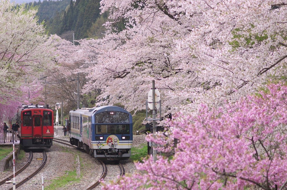 🎡 도쿠시마 패밀리 랜드 (도쿠시마 화미리란도) 이미지 6